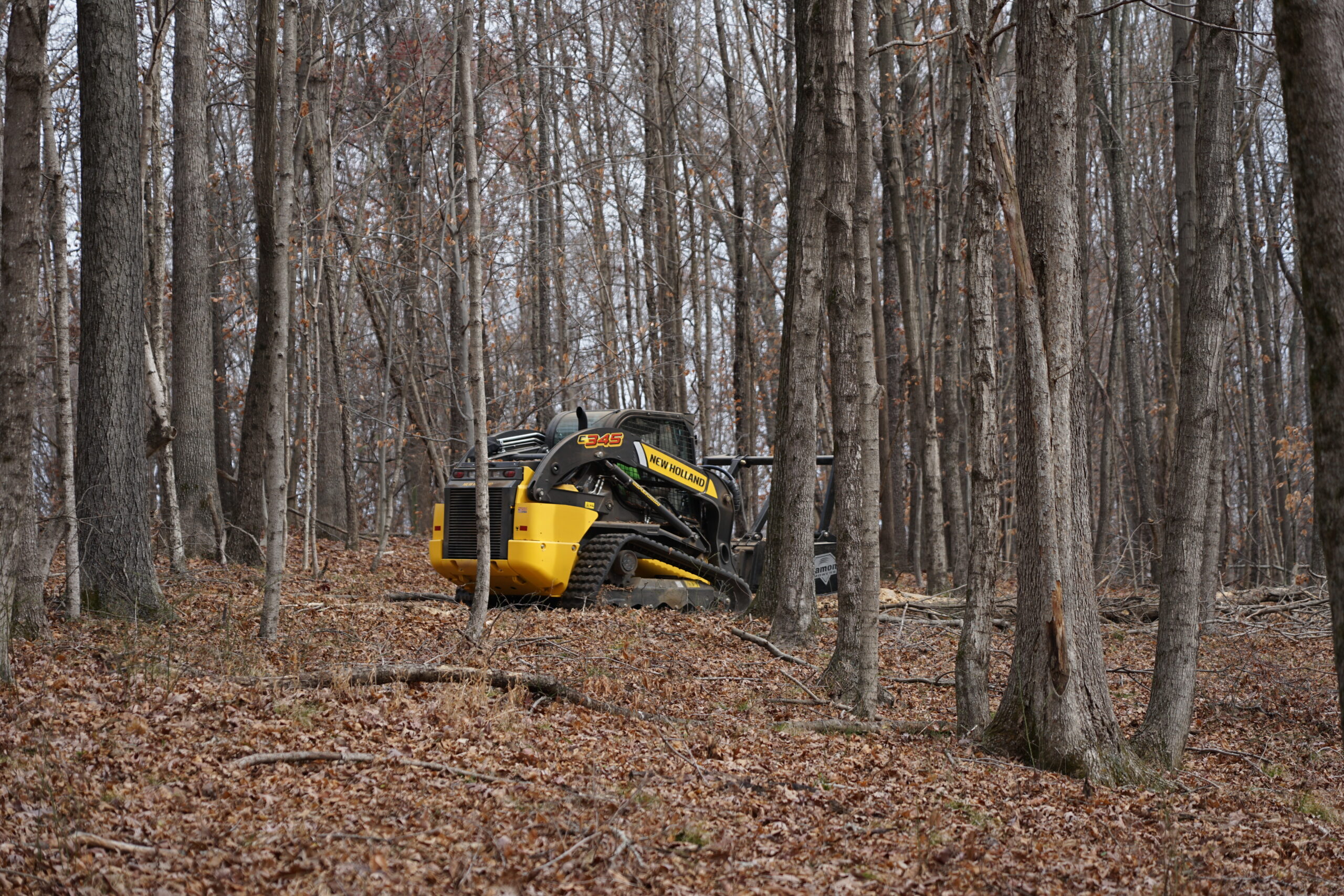 Forestry mulching in progress — dense forest being cleared