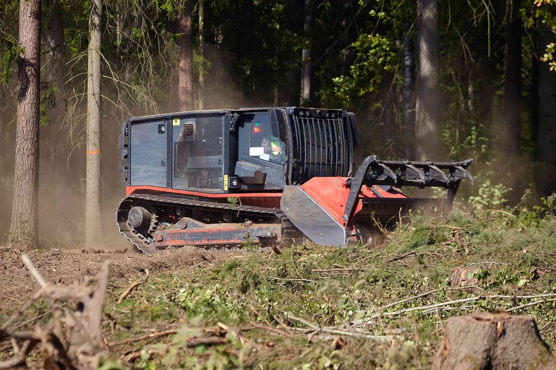 Mulcher clearing overgrown brush